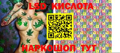 стаф Новозыбков