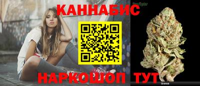 стаф Новозыбков
