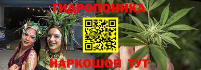 стаф Новозыбков