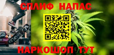 стаф Новозыбков