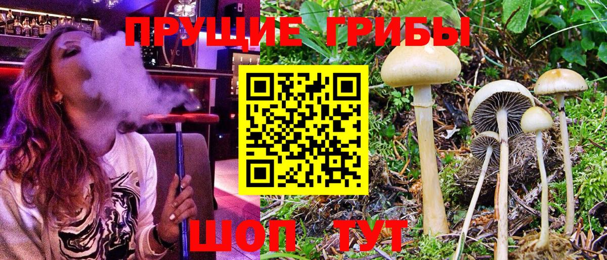 Усинск  Галлюциногенные грибы мицелий  Галлюциногенные грибы MAGIC MUSHROOMS  Вход с VPN 