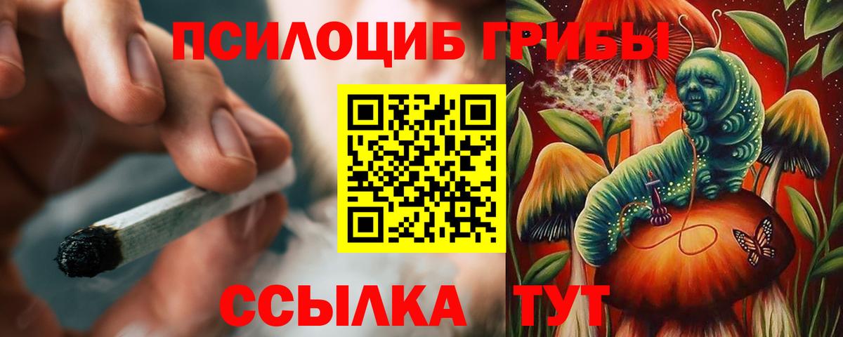 Псилоцибиновые грибы мухоморы Усинск